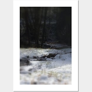 snowy Oregon forest, fox creek 9 Posters and Art